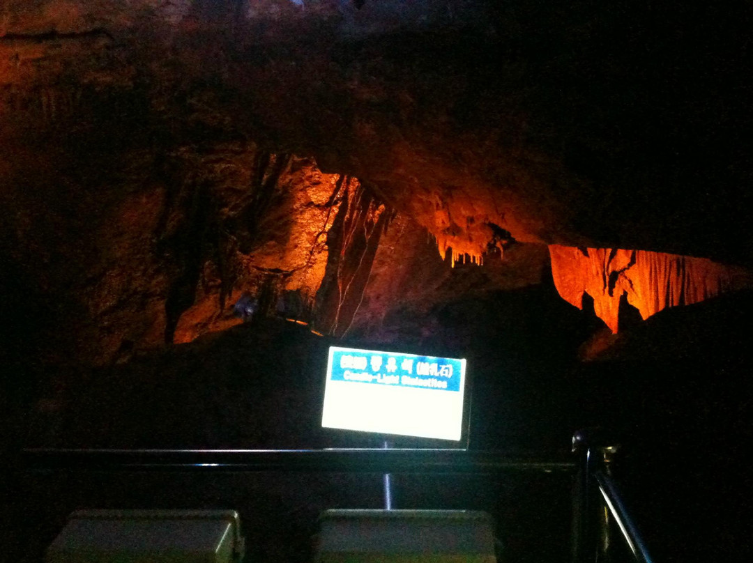 Cheongok Golden Bat Cave-东海市必去景点