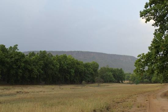 Bandhavgarh Hill景点图片