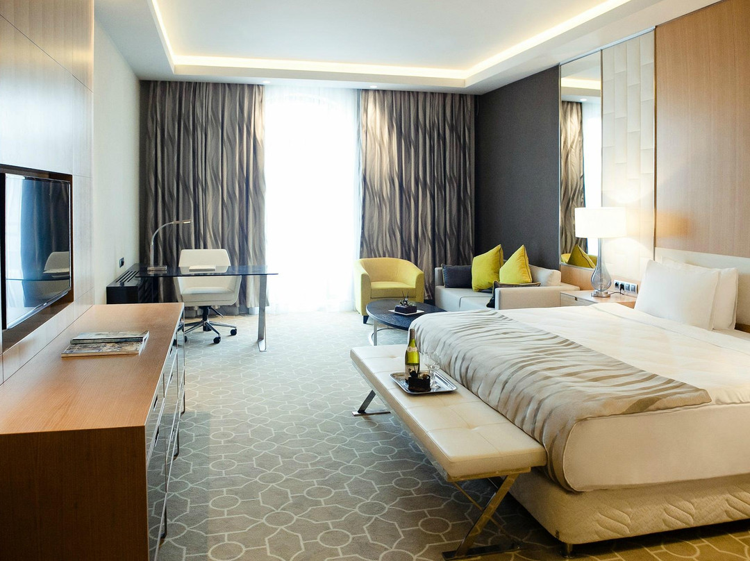 Esto-Sadok酒店住宿-Rixos Krasnaya Polyana Sochi