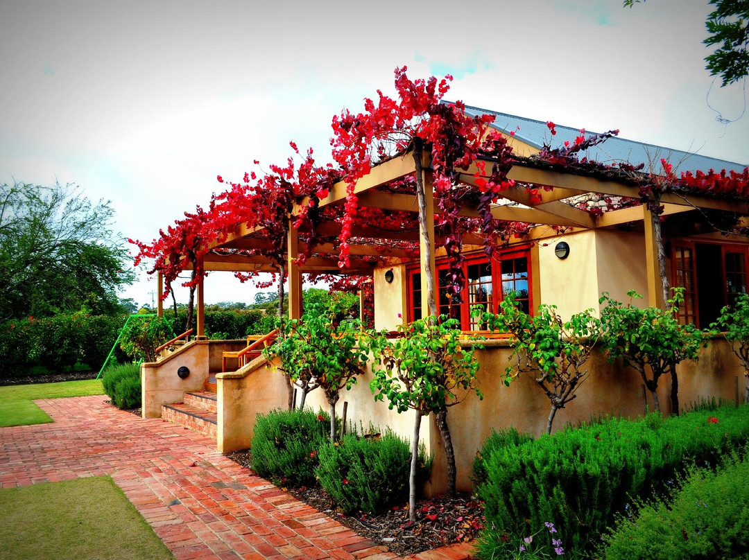 Cellar Door Tours-阿德莱德必去景点