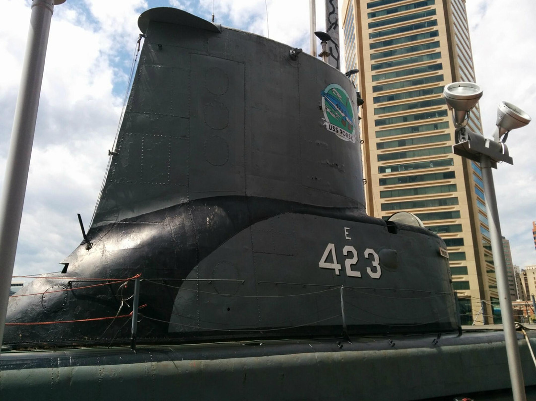 USS Torsk景点图片