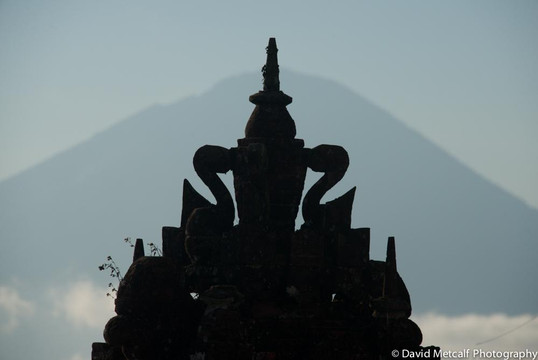 David Metcalf Photography-乌布必去景点