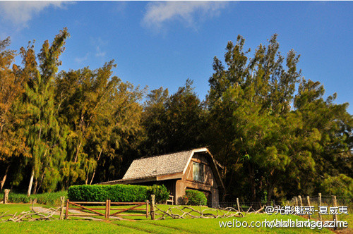 可哈拉岛-夏威夷大岛必去景点