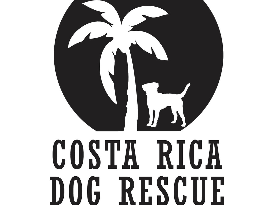 Costa Rica Dog Rescue & Adoption景点图片