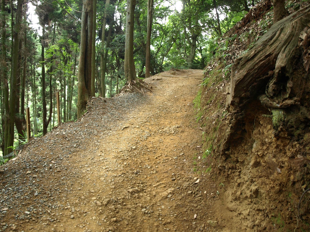 岚山岩田山猴子公园-京都市必去景点