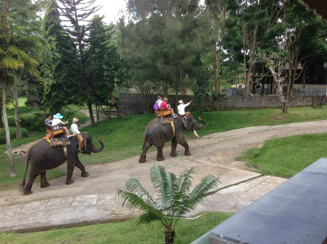 巴厘大象营-Carangsari必去景点