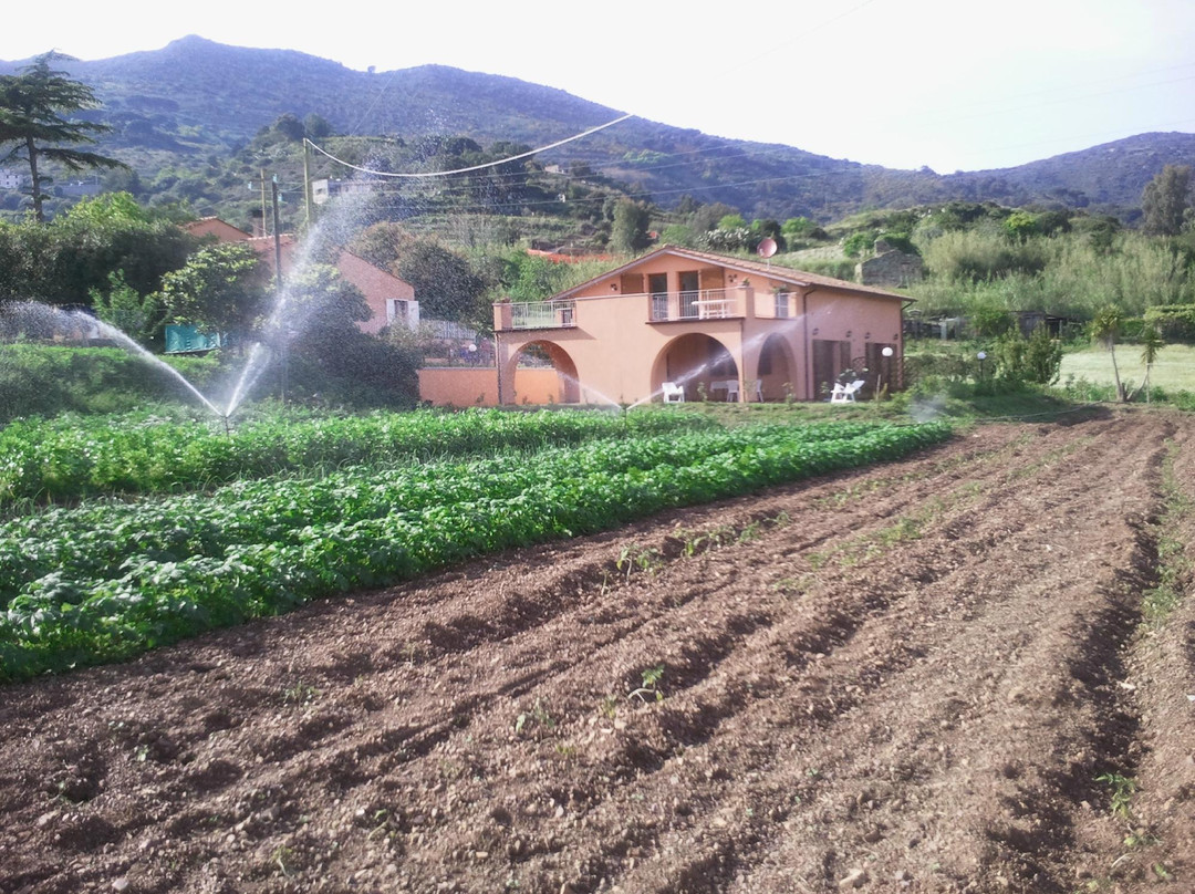 La Fattoria