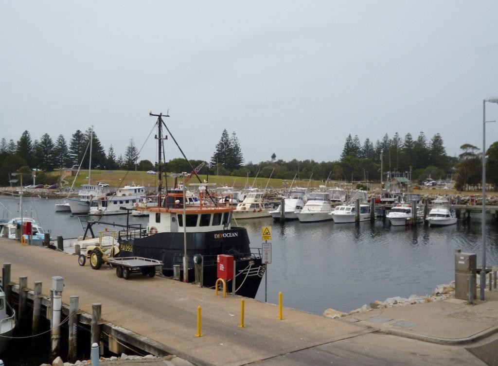 Bermagui Fishermen's Wharf景点图片