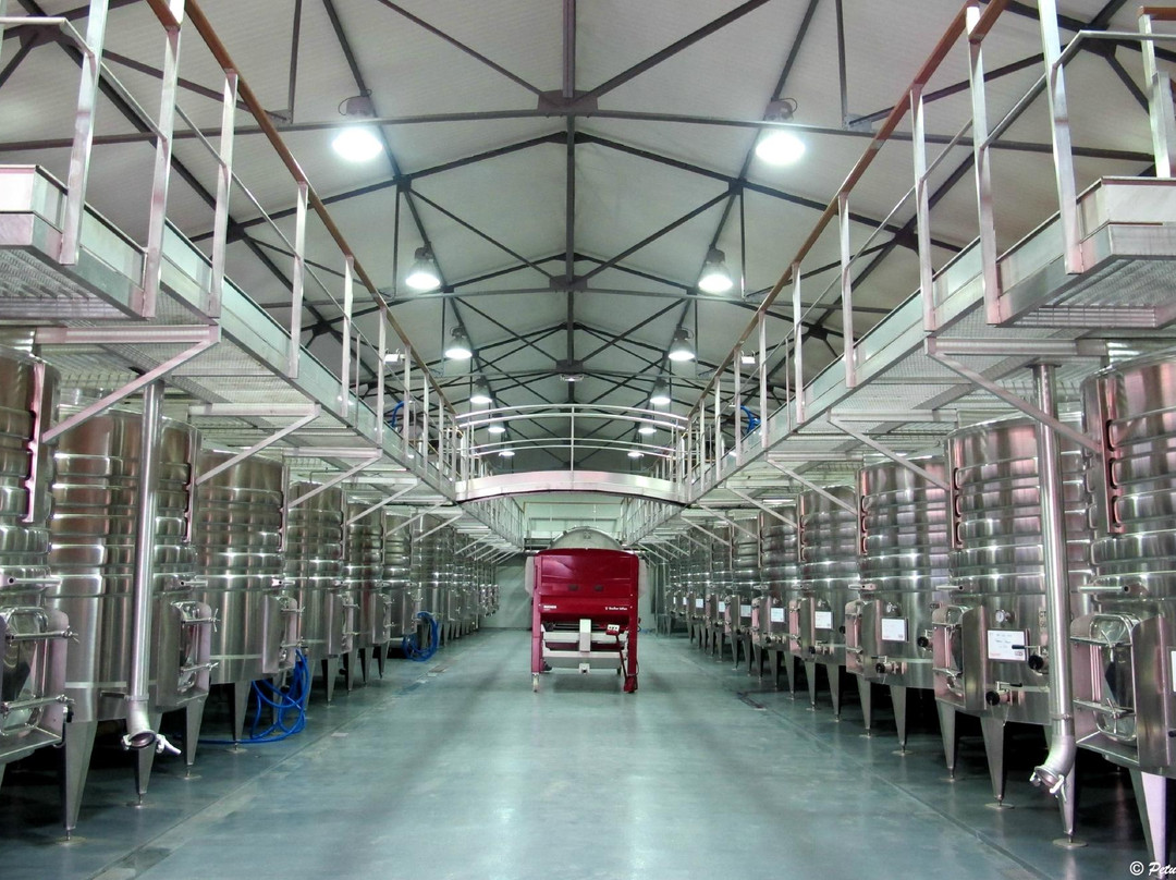 Vignobles Dom Brial景点图片