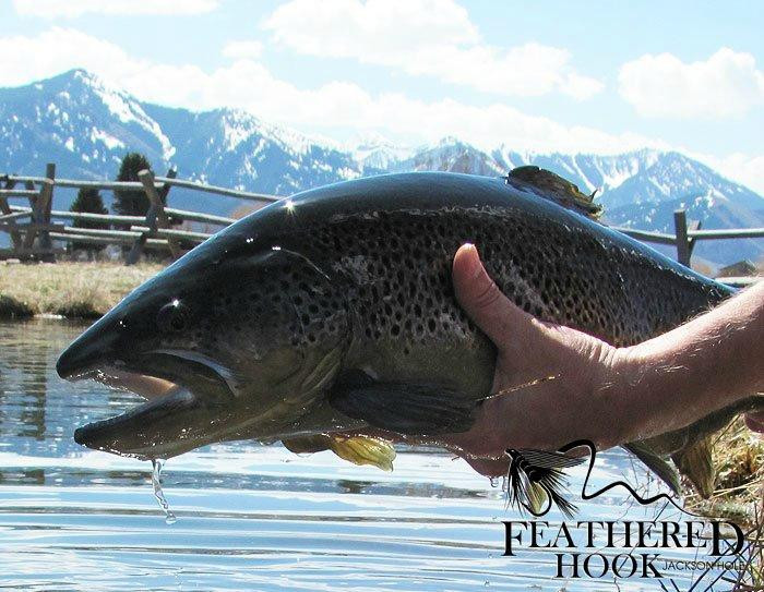 Feathered Hook-Afton必去景点