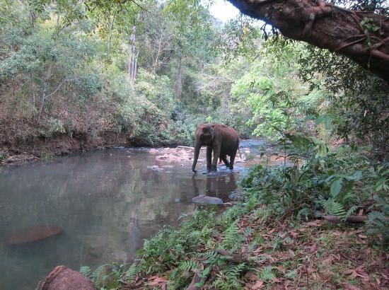 Mondulkiri Project-森莫诺隆必去景点