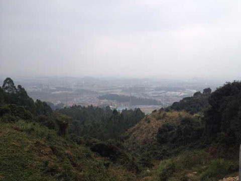 火炉山森林公园-广州市必去景点