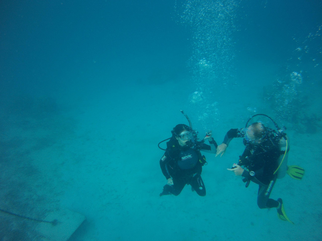 Moorea Fun Dive-Hauru必去景点