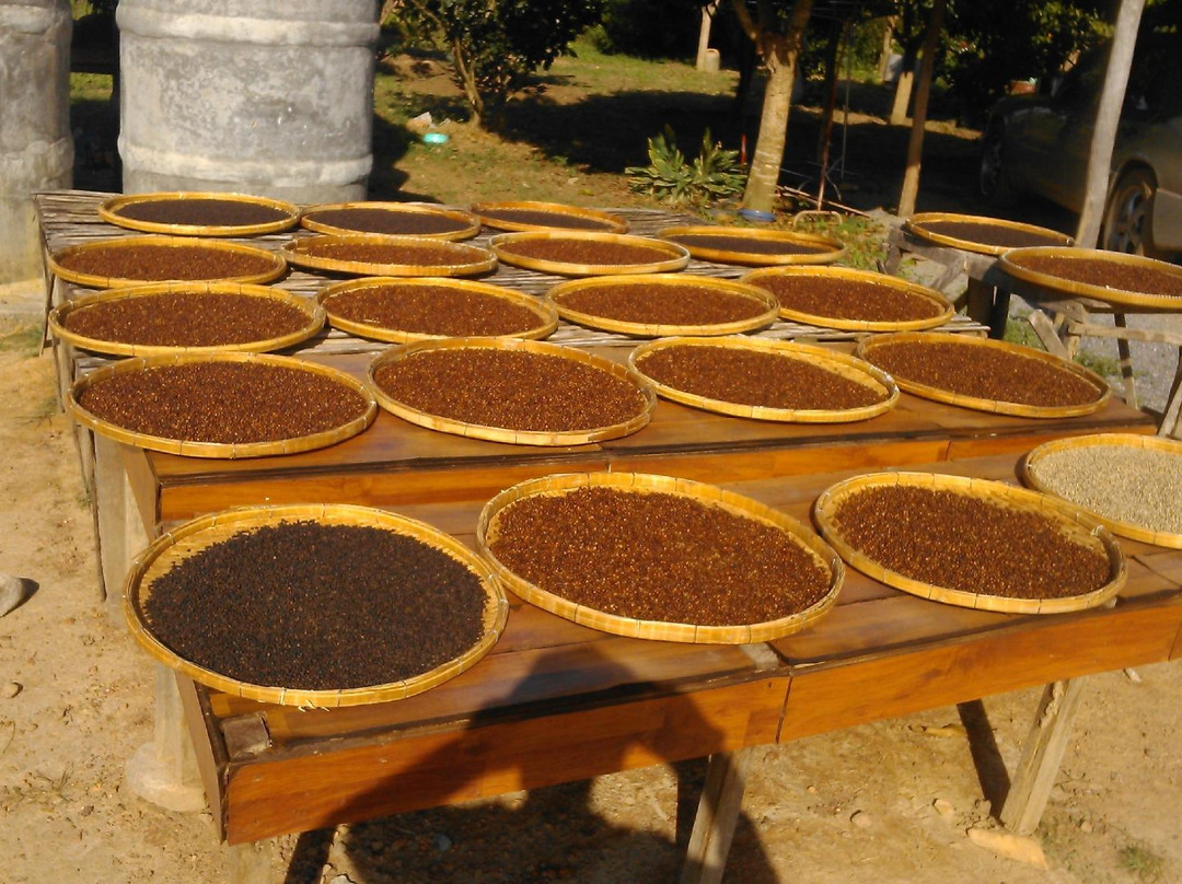 Starling Farm-贡布必去景点