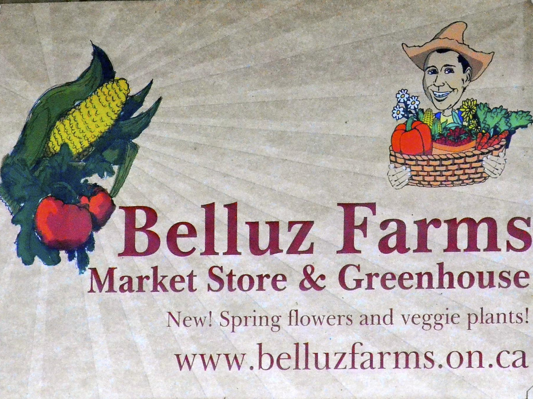 Belluz Farms景点图片