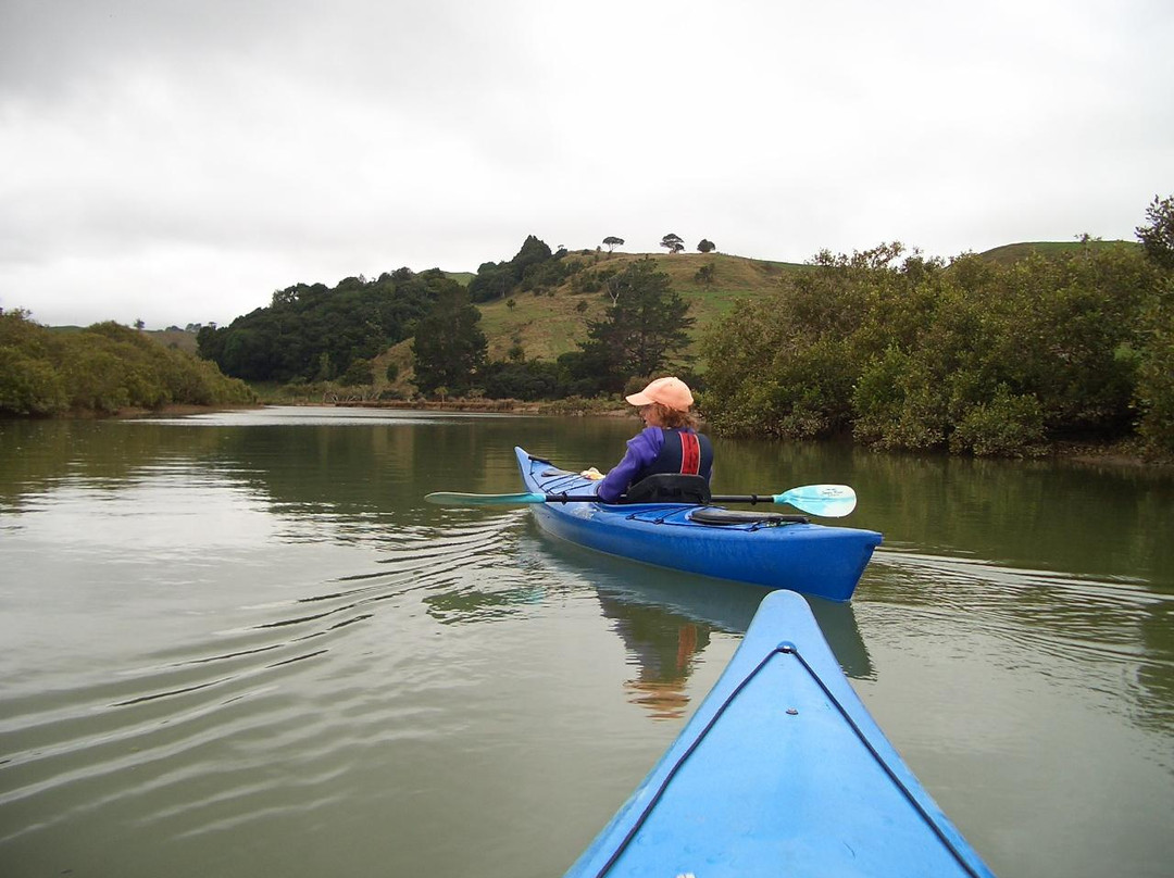 Puhoi River Kayak Hire Ltd Kayak Trips-奥克兰必去景点