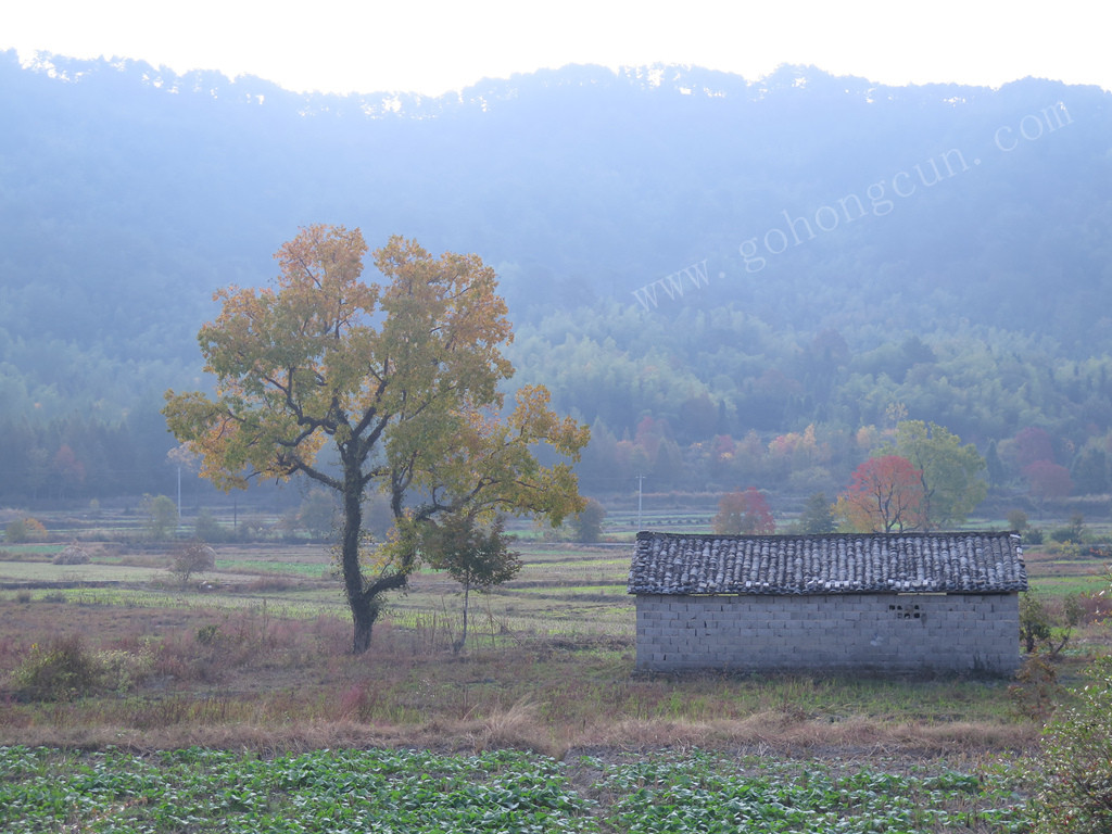 黄山宏村清和月国际青年旅舍主图