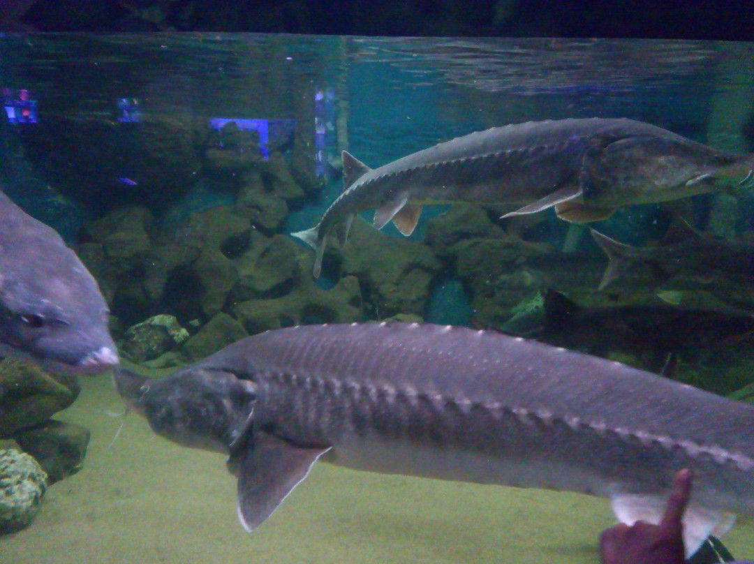 厦门海底世界-厦门市必去景点