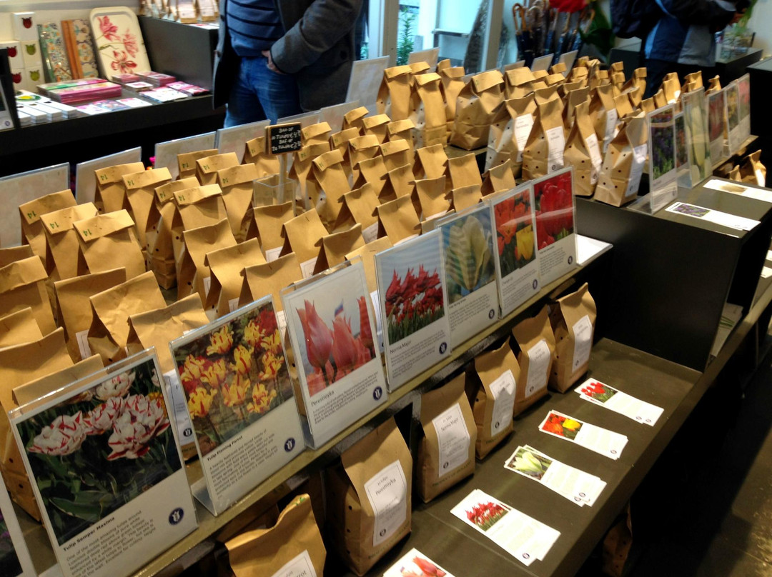 阿姆斯特丹郁金香博物馆-阿姆斯特丹必去景点