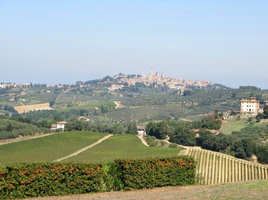 Fattoria Il Piano-圣吉米尼亚诺必去景点