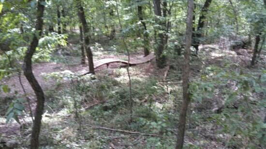 Slaughter Pen Hollow Multi-Use Trail System景点图片