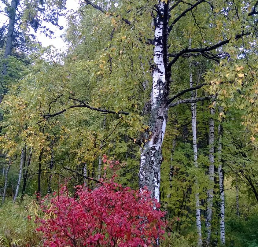 尼古拉酒店主图