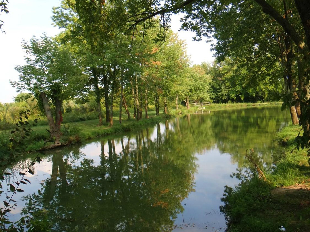Caesar Creek Lake-Waynesville必去景点