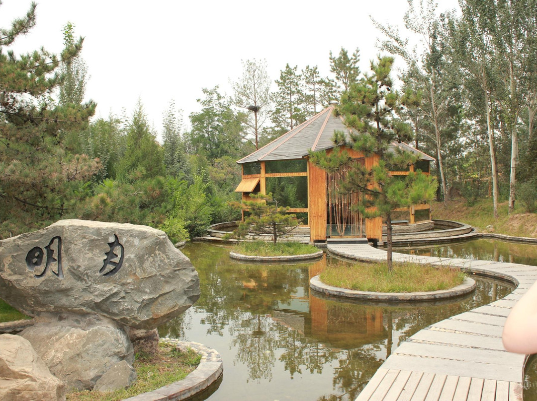 银川植物园-银川市必去景点