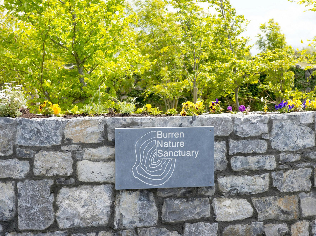 Burren Nature Sanctuary景点图片