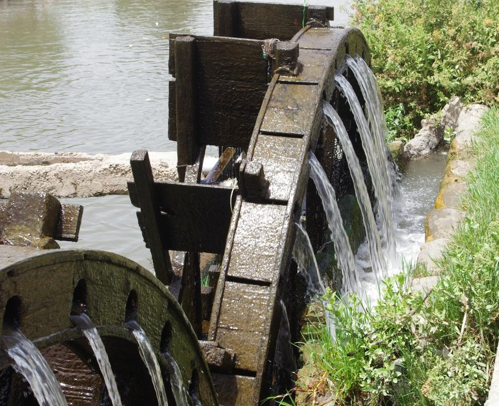 Waterwheels in Al Faiyum-法尤姆必去景点