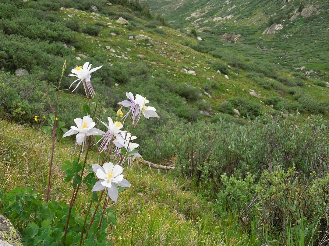Linkins Lake Trail-阿斯蓬必去景点