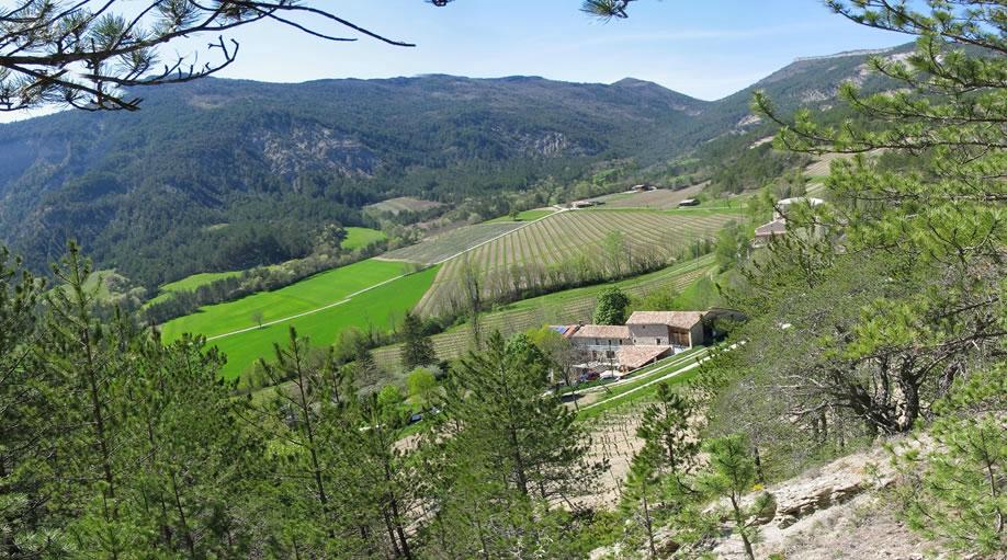 Ferme de la Source Chambre d'Hôtes-官方