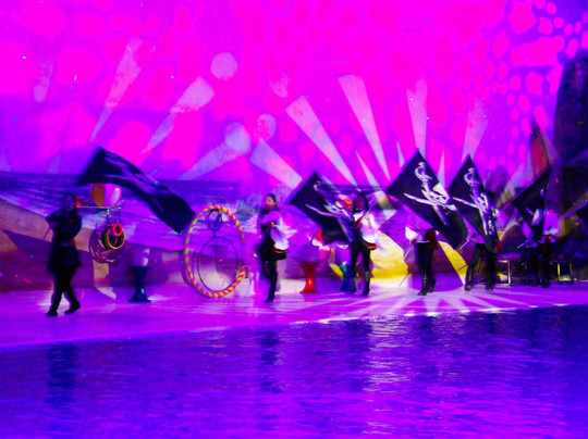 迪拜海豚馆-迪拜必去景点