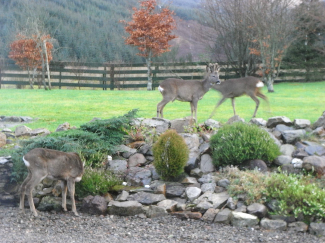 Bealach Country House主图