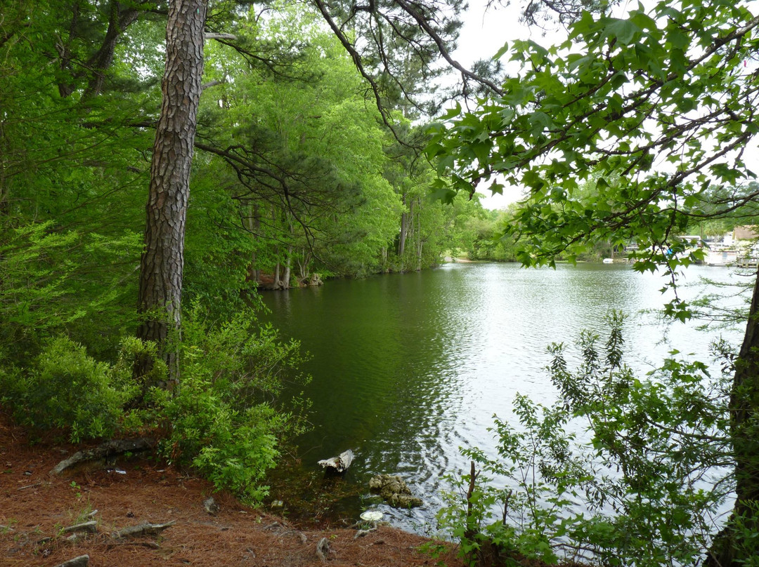 Eutaw Springs Battlefield Park景点图片
