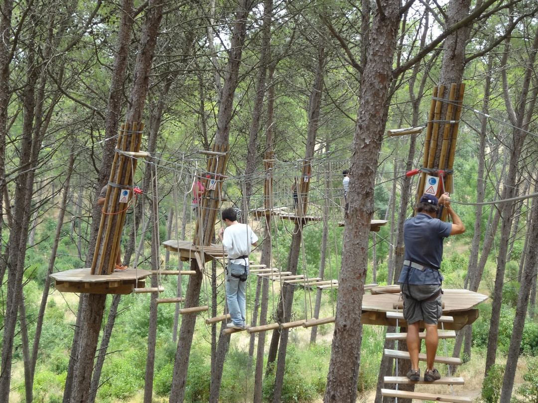 Adventure Park-里斯本必去景点