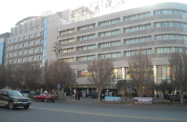 金叶大酒店主图