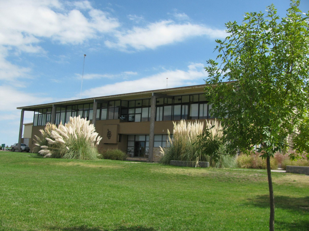 Tapiz Winery-阿格雷洛必去景点