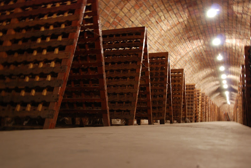 Bodega Suter-圣拉斐尔必去景点