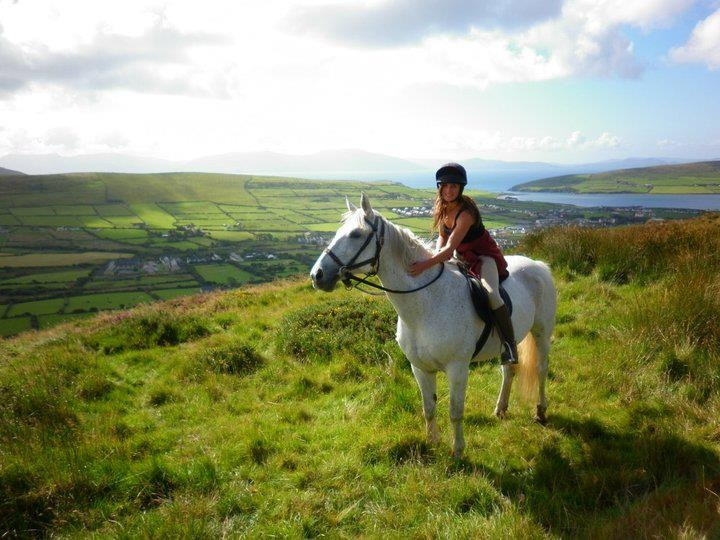 Dingle Horse Riding景点图片
