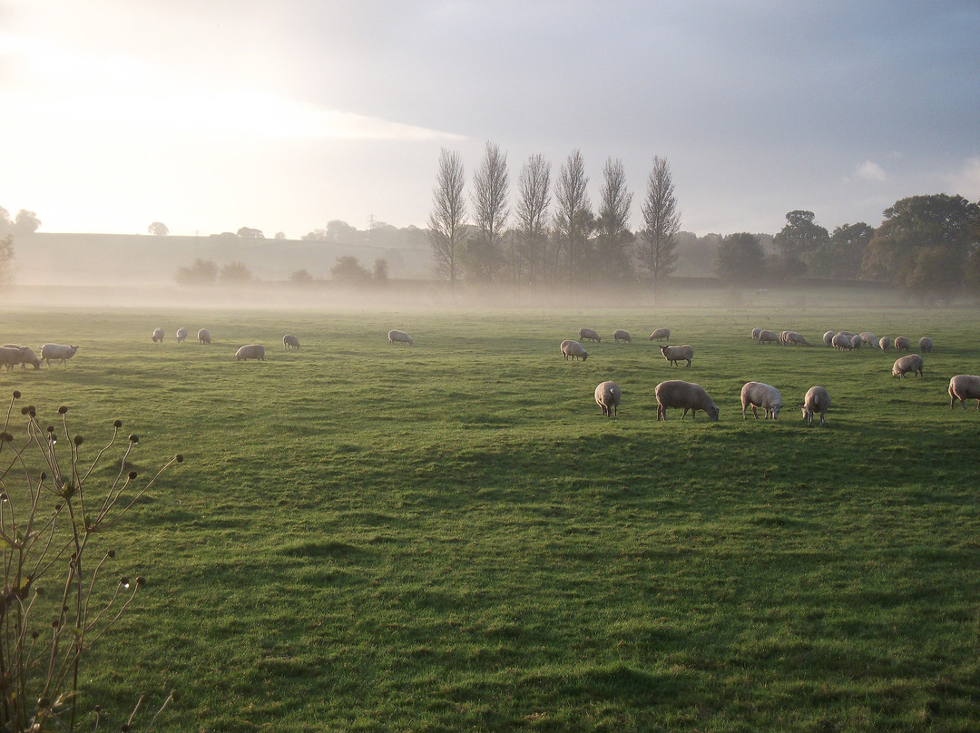 The Old Rectory Bed and Breakfast主图