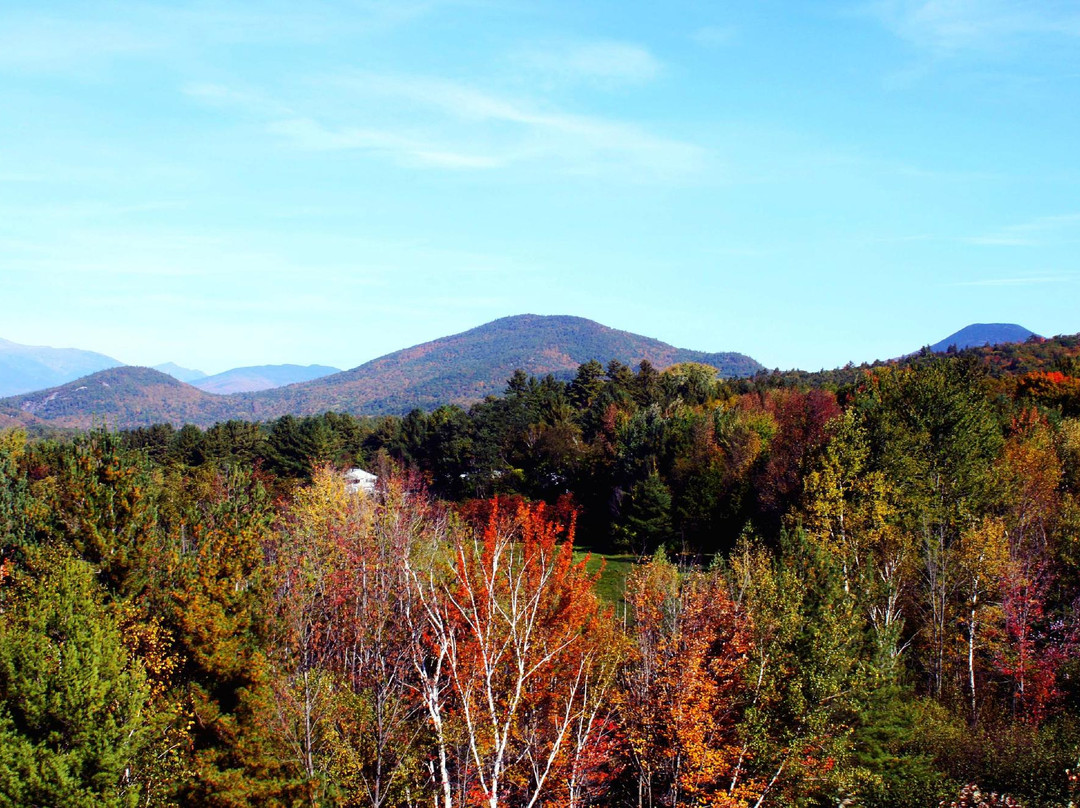 Intervale Motel主图