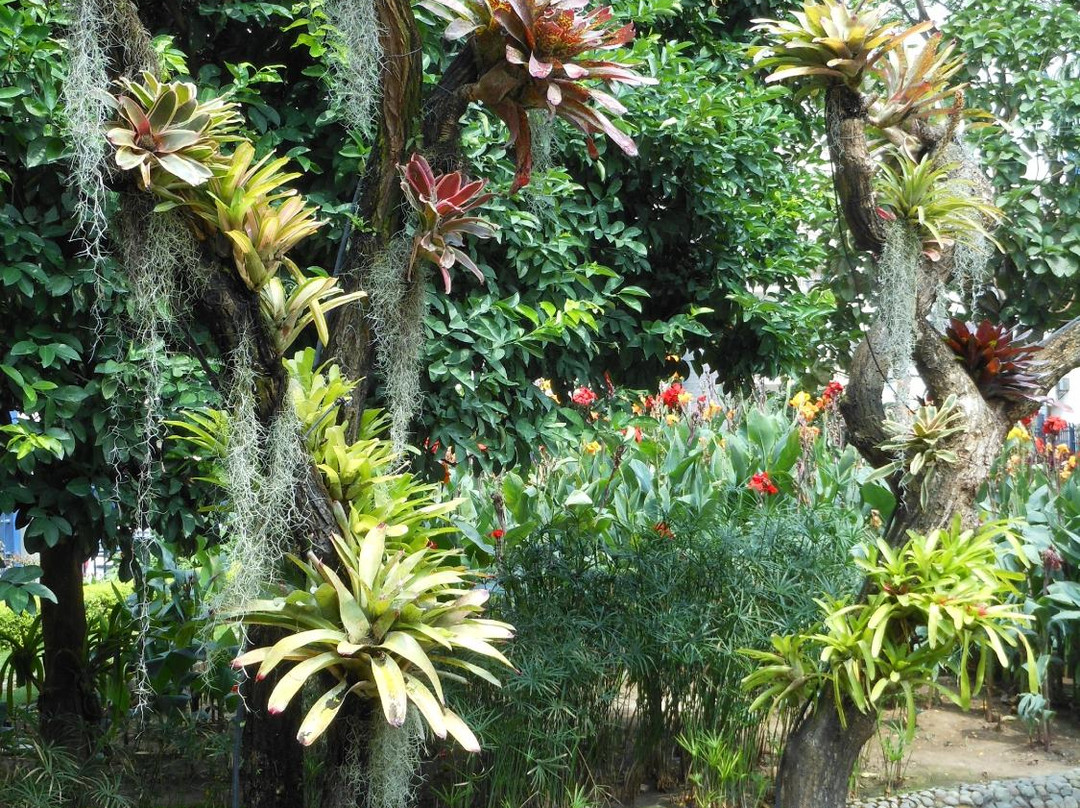 Botanical Garden of Guayaquil-瓜亚基尔必去景点