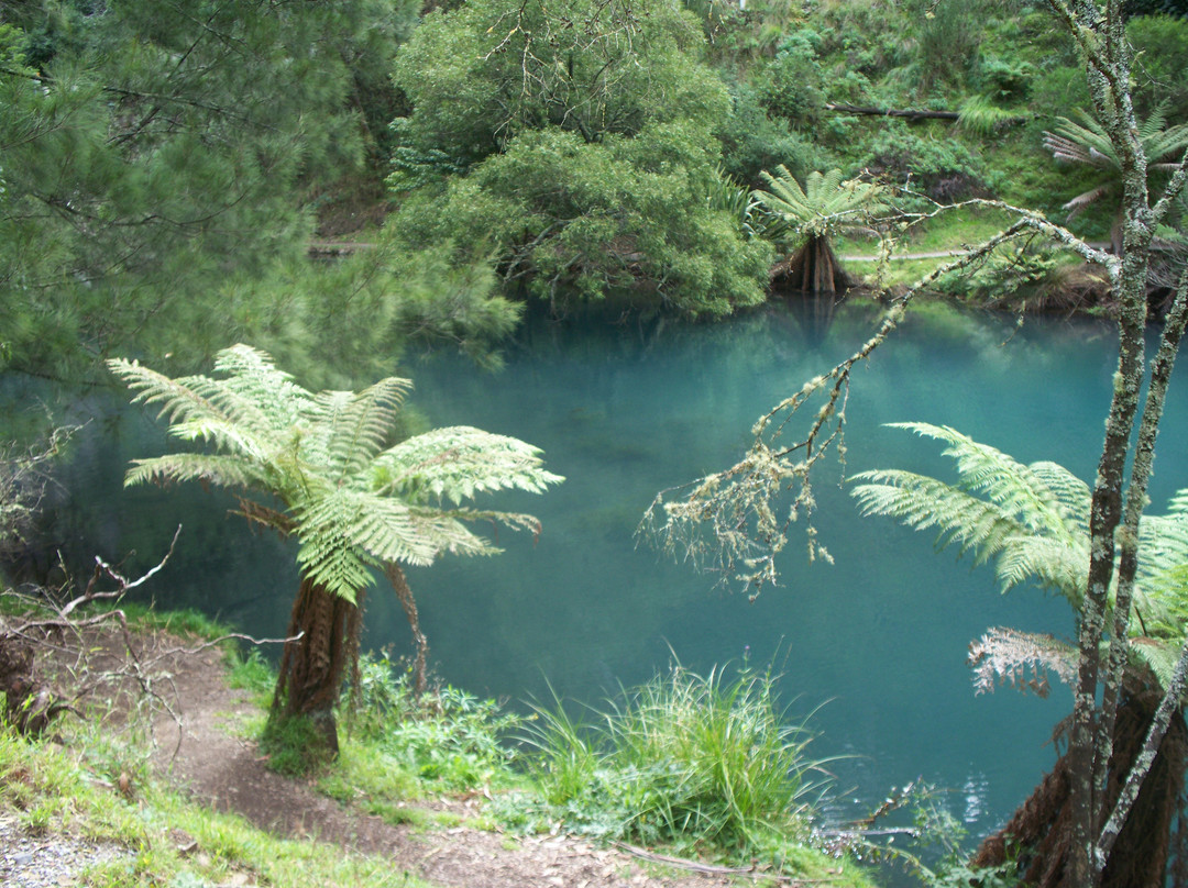 Jenolan Caves景点图片
