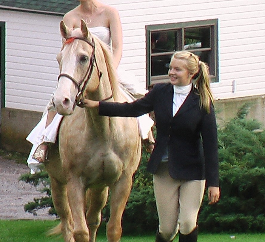 Stone Tavern Farm主图