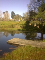 Tantivvey Country Guest House主图