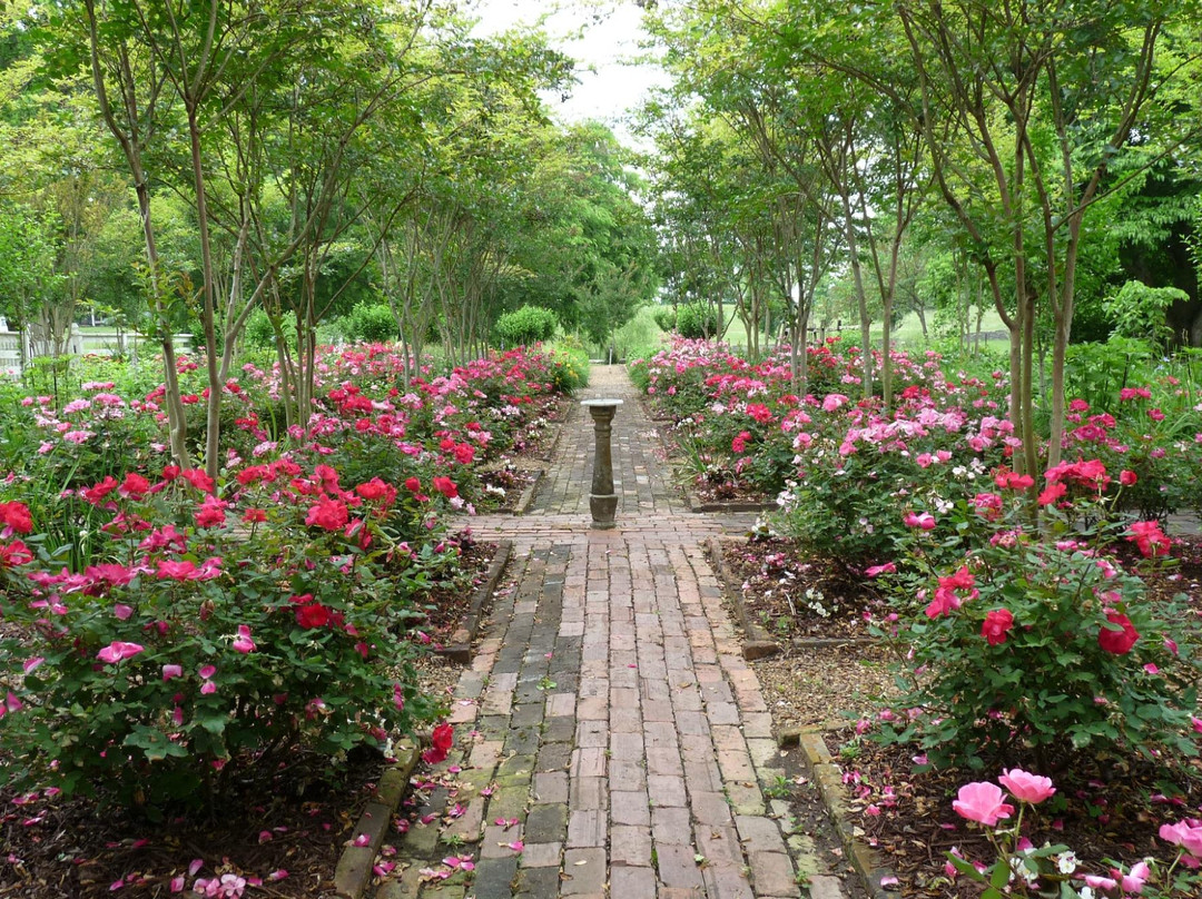 Cragfont State Historic Site - Historic Castalian Springs-Castalian Springs必去景点