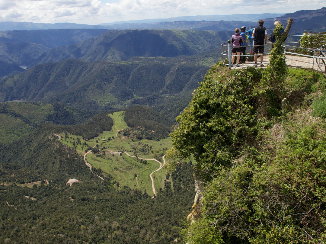 Creative Catalonia - Bike Holidays Girona Spain景点图片