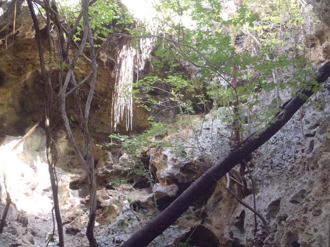 The Bat's Cave-Cayman Brac必去景点