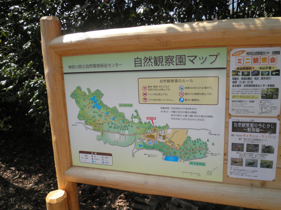 Kanagawa Prefectural Nature Conservation Center景点图片